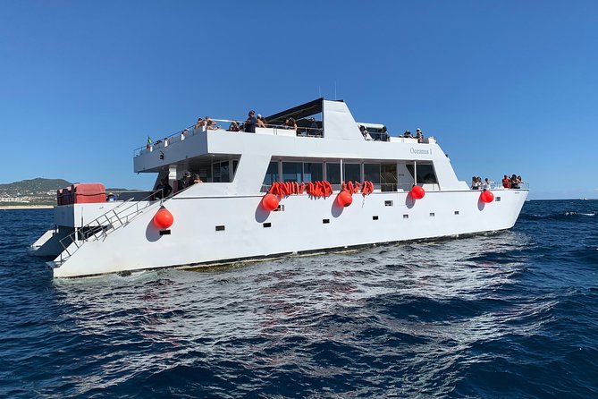 Whale Watching Cruise in Cabos San Lucas and Ground Transportation - Logistical Considerations and Past Challenges