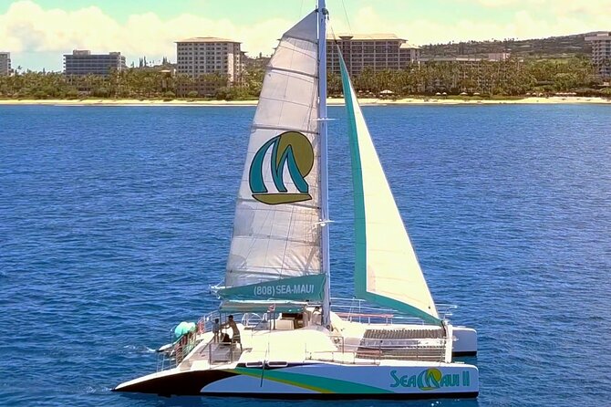 Whale Watching Cruise with Open Bar from Ka'anapali Beach - What to Expect on the 2-Hour Cruise