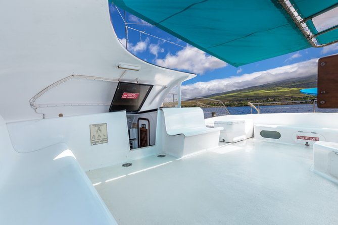 Whale Watching Cruise with Open Bar from Ka'anapali Beach - The Crew and Naturalist Guides