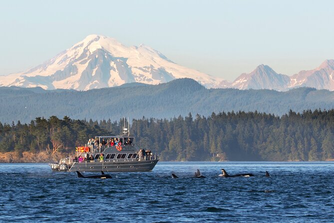 Whale Watching + Deception Pass Tour from Seattle - Discover the Only Whale Watching Tour with Hotel Pickup in Seattle