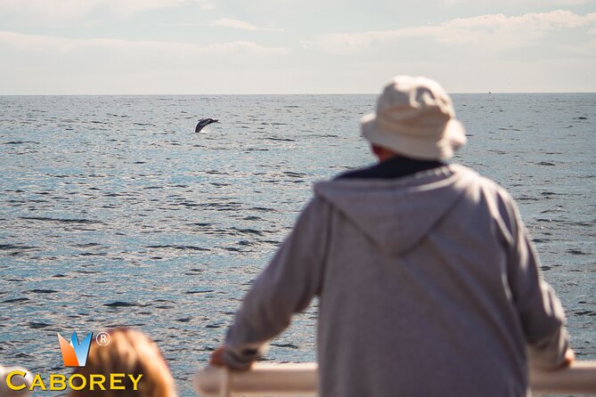 Whale Watching Experiencie with breakfast - Exciting Whale Watching with Breakfast in Cabo San Lucas for $95