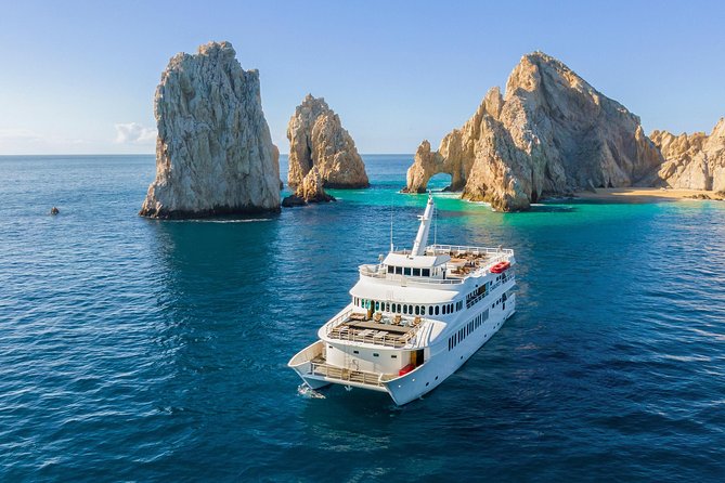 Whale Watching Experiencie with breakfast - Key Points