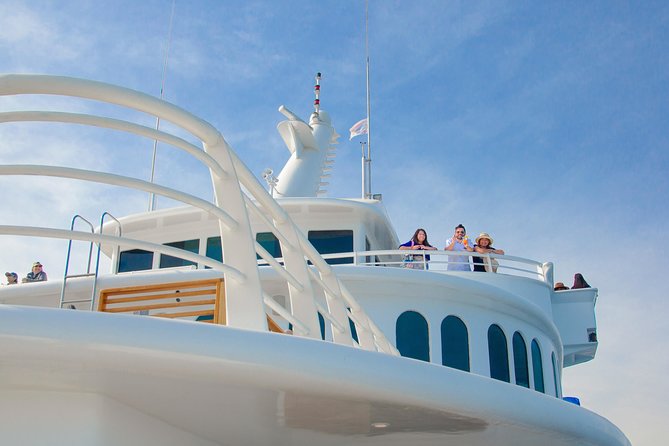 Whale Watching Experiencie with breakfast - Watching the Iconic El Arco de Cabo San Lucas from the Water