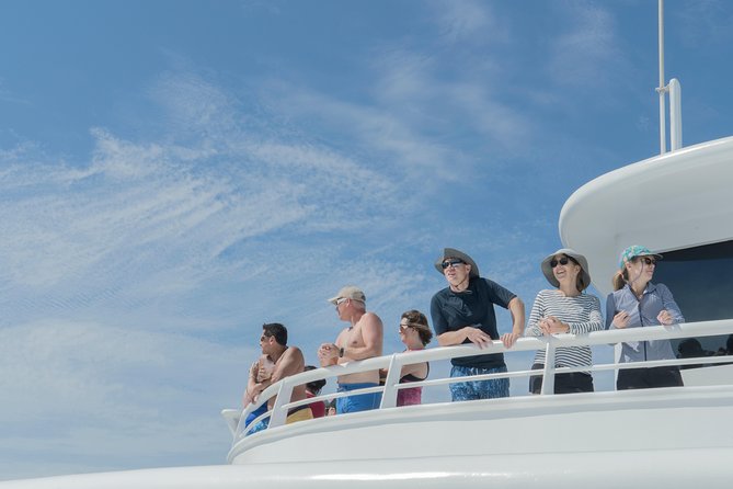 Whale Watching Experiencie with breakfast - All-Inclusive Breakfast and Open Bar for a Relaxed Morning