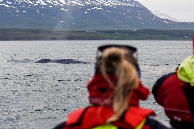 Whale Watching from Downtown Akureyri - Comfort Measures and Onboard Facilities