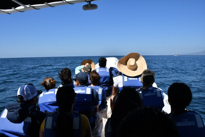 Whale Watching Guaranteed Experience in Puerto Vallarta - Expert Guides and Their Role in Enhancing the Experience