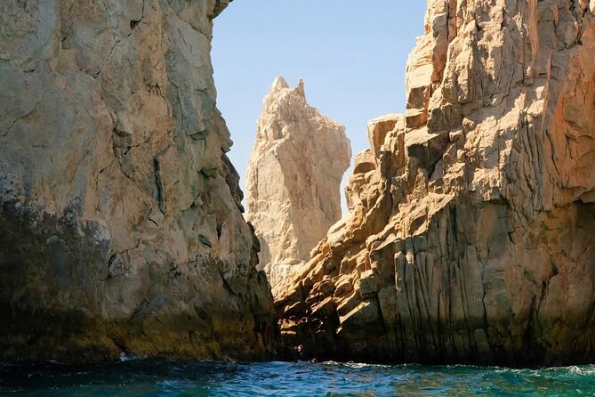 Whale Watching in Cabo San Lucas - Searching for Humpback Whales: The Main Attraction