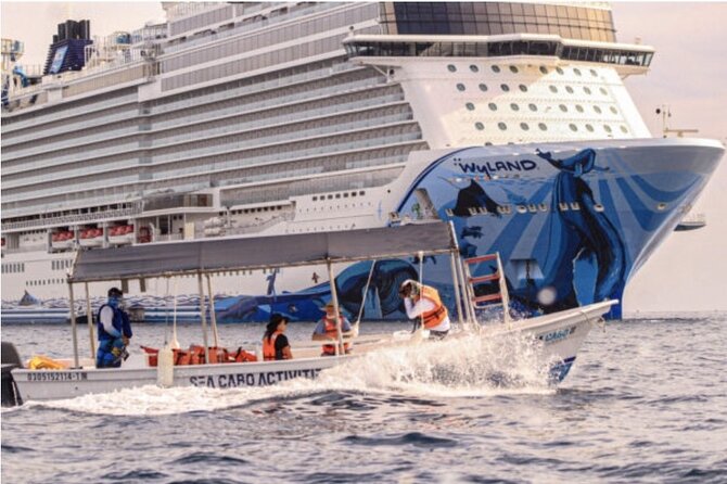 Whale Watching in Cabo San Lucas - Weather and Cancellation Policies for Peace of Mind