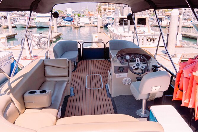 Whale Watching in Cabo San Lucas on board our Luxury Trimaran! - Practical Tips for a Successful Whale Watching Trip