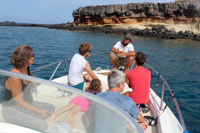 Whale watching in Tenerife. Atlantic Eco Experience - Discover Tenerife’s Marine Life with Atlantic Eco Experience