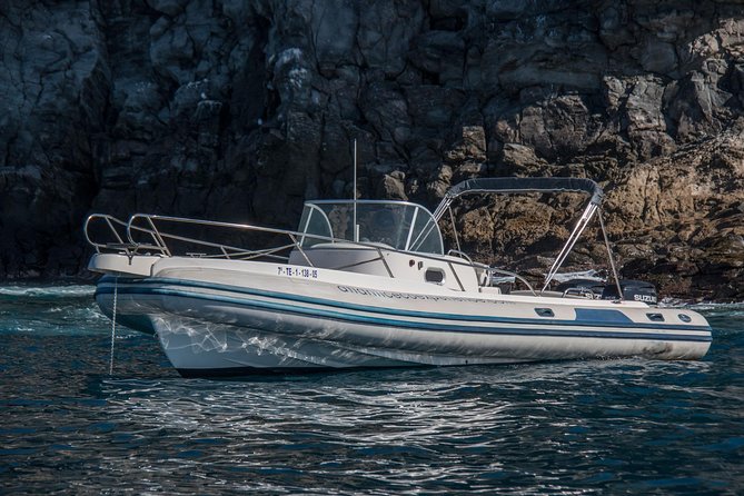 Whale watching in Tenerife. Atlantic Eco Experience - Sightings Are Frequently Spectacular