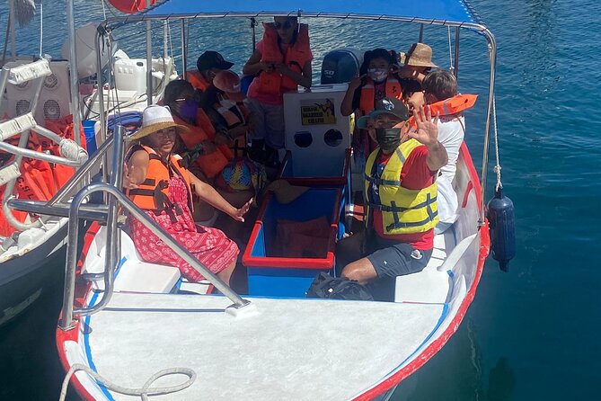 Whale Watching on a Glass Bottom Boat - Discover Cabo San Lucas Whale Watching on a Glass Bottom Boat for $64.11