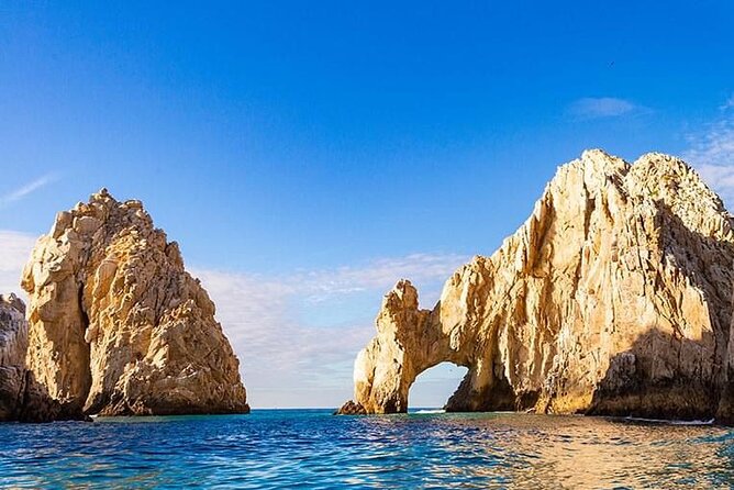 Whale Watching on a Glass Bottom Boat - The Calm Morning Seas and Multiple Departure Times