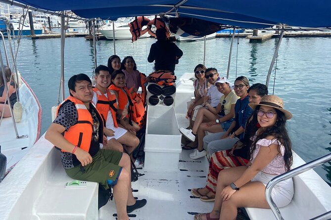 Whale Watching on a Glass Bottom Boat - The Comfort and Practicalities of the Tour