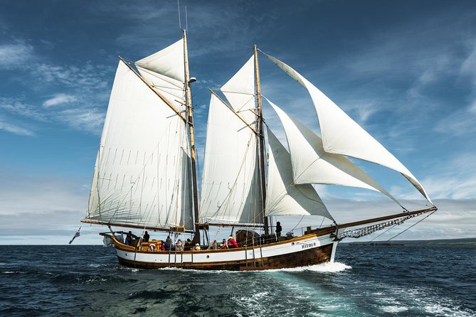 Whale Watching on a Traditional Oak Sailing Ship from Husavik - How Weather Impacts the Tour Experience