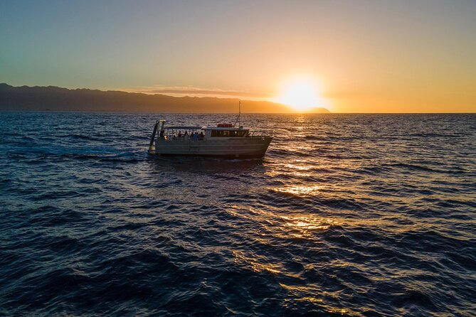 Whale Watching on "The World Famous North Shore of Oahu", Hawaii - Exciting Whale Watching Tour on Hawaii’s North Shore with Haleiwa Shark Tours