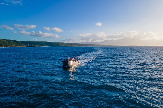 Whale Watching on "The World Famous North Shore of Oahu", Hawaii - Scenic Views and Movie Site Sightings Along the Route