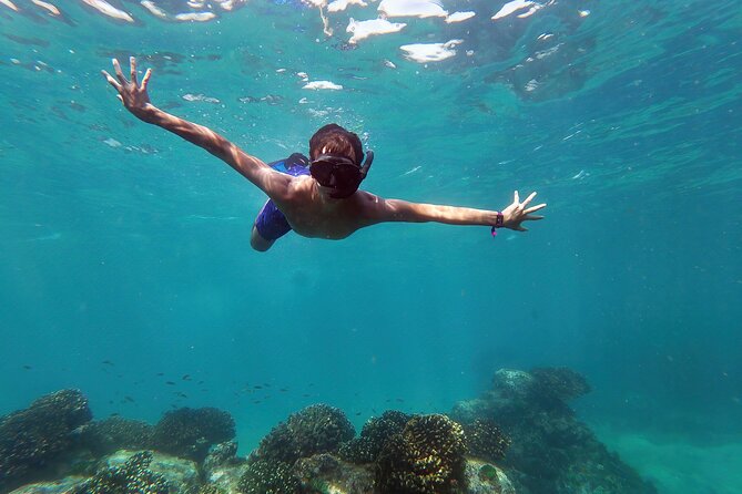 Whale Watching & Snorkeling Combo in Los Cabos with Photos Included - Discover the Whale Watching & Snorkeling Combo in Los Cabos