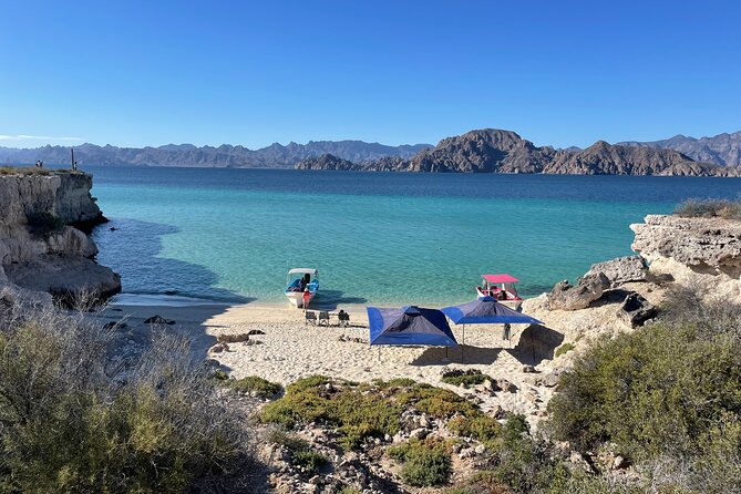 Whale Watching Tour - Visiting a Beach: Relaxing and Engaging Activities