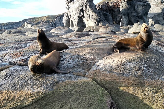 Whale Watching Tour - Costs and Additional Fees: Understanding the Budget