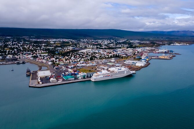 Whale Watching Tour from Akureyri City Central - Key Points