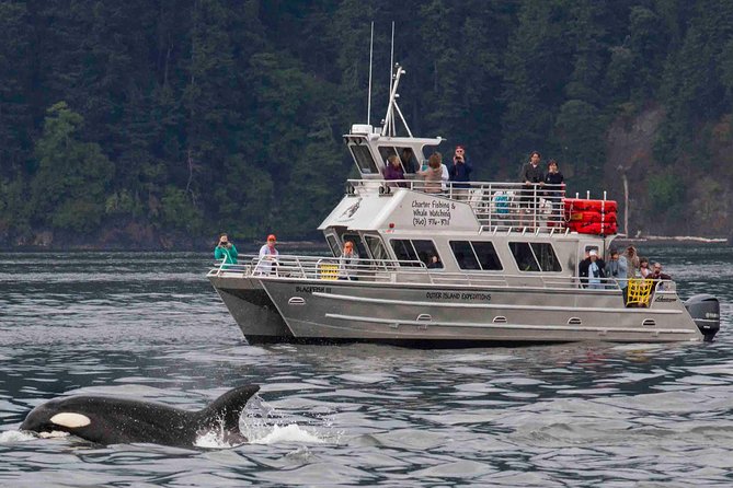 Whale Watching Tour from Anacortes - Easy Access from Major Cities