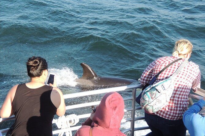 Whale Watching Tour from Anacortes - Practical Tips for the Best Trip
