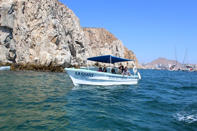 Whale Watching Tour in Glass Bottom Boat (VisitA Cabo) - Practical Details: Booking, Accessibility, and Cancellation