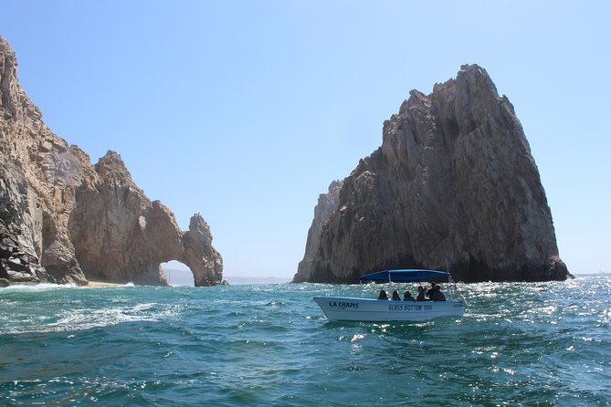 Whale Watching Tour in Glass Bottom Boat (VisitA Cabo) - Why You Should Consider This Whale Watching Tour in Cabo