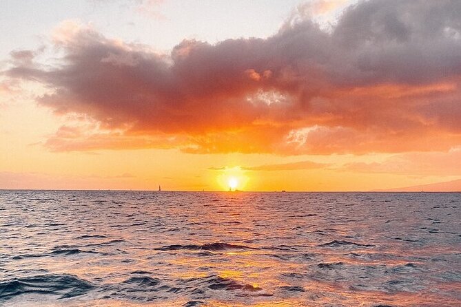 Whale Watching Tour in Waikiki Intimate Adventure on Oahu - Final Thoughts on the Waikiki Whale Watching Tour