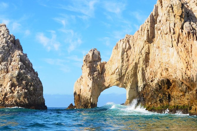 Whale Watching Tour -Incl FREE photos - Responsible Whale Watching and Conservation Focus