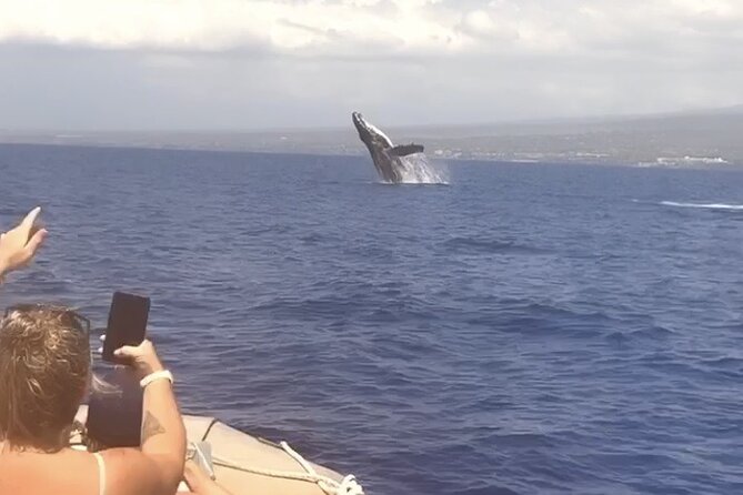 Whale Watching Tour on a Charming Hawaiian Catamaran From Maalaea - Whale Encounters and Audio Experience