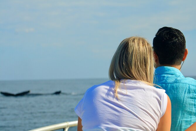 Whale Watching Warranty in San José del Cabo Snacks and drinks - Snacks, Drinks, and Onboard Comforts Included