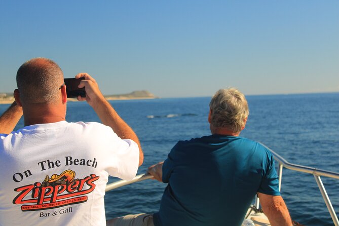 Whale Watching Warranty in San José del Cabo Snacks and drinks - The Scenic Voyage Through the Sea of Cortez
