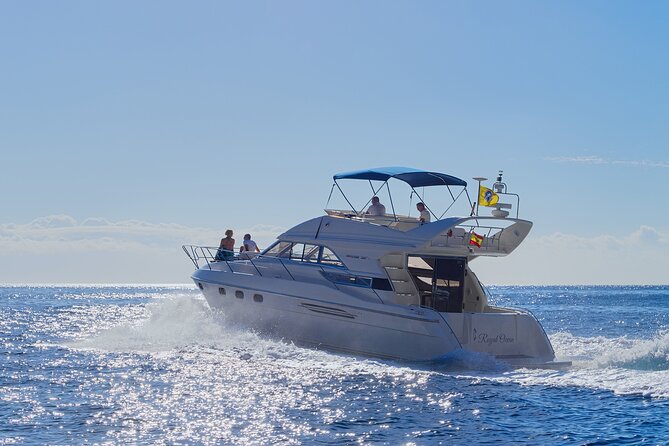 Whales and Dolphins excursion on a Luxury Yacht in Canary Islands - Key Points