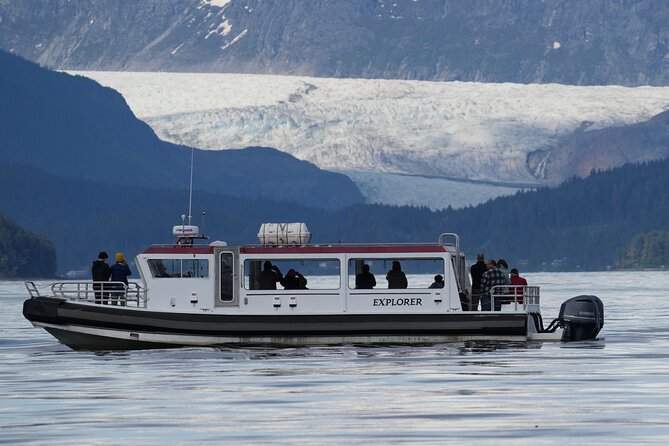 Whales and Wilderness Exploration - Comparison with Similar Tours