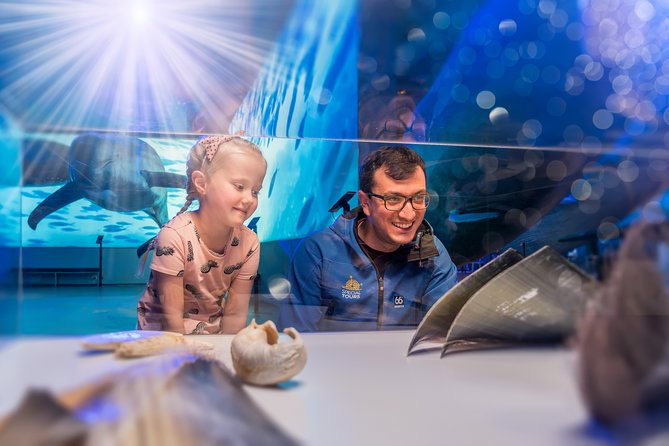 Whales Of Iceland Admission Ticket - Reviews and Visitor Feedback