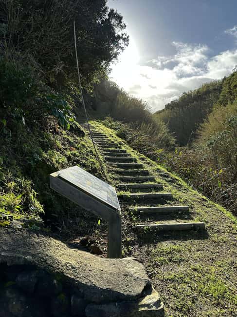 Whaling & Tradition: Capelas & Fenais da Luz Cultural Route - Who Will Benefit Most from This Tour