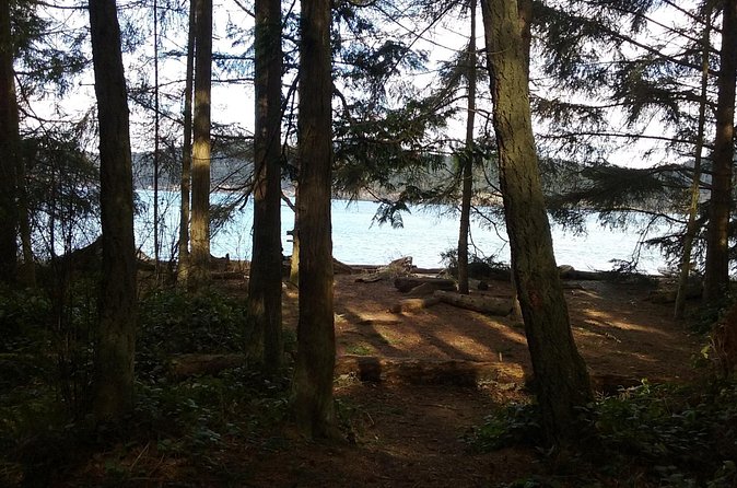 Whidbey Island Deception Pass Private SUV Tour - Admiralty Head Lighthouse: Panoramic Photos and Climbing Opportunities