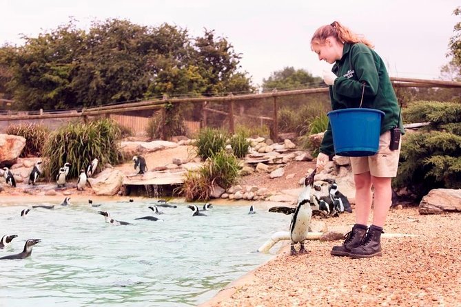 Whipsnade Zoo Entry Ticket - The Convenience of Pre-Booking Your Whipsnade Zoo Ticket