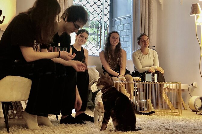 Whiskers & Coffee: Relax and Play with Adorable Cats - Interacting with Rescued Cats in a Peaceful Setting
