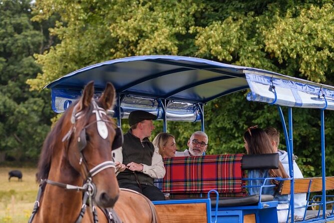 Whiskey & Wonders in Killarney - Explore Killarneys Scenic Landmarks and Historic Sites