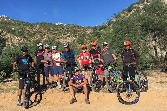 Whistler Half-Day Mountain Bike Tour - Trail Types and Scenic Highlights