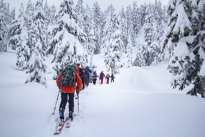 Whistler Intro to Backcountry Skiing and Splitboarding - The Role of the Professional Guide and Safety Focus