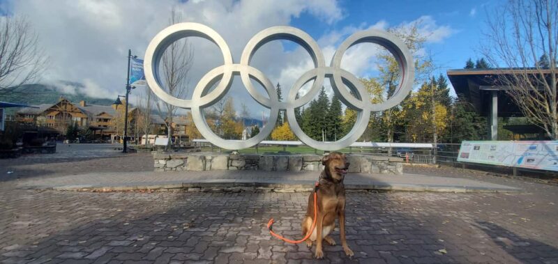 Whistler, Sea to Sky Gondola, Shannon Fall & Green Lake Tour - Shannon Falls: BC’s Third-Highest Waterfall