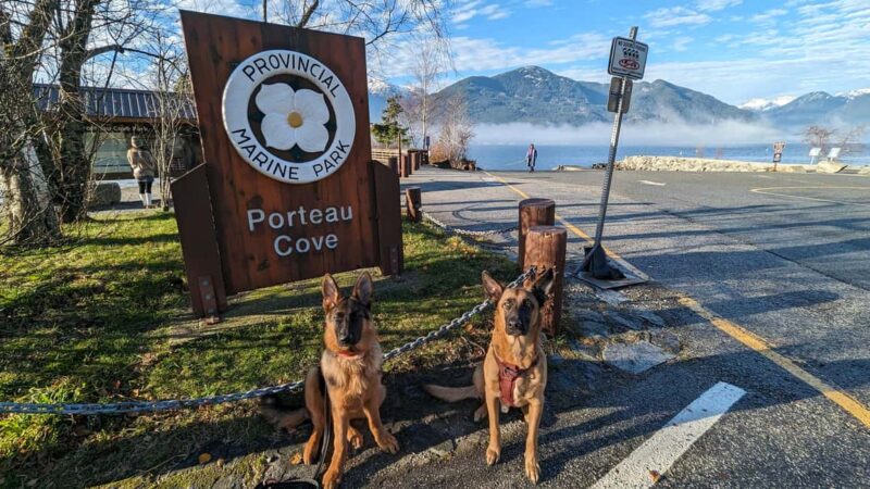 Whistler, Sea to Sky Gondola, Shannon Fall & Green Lake Tour - Practical Details and Tour Logistics