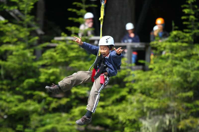 Whistler Zipline Experience: Ziptrek Bear Tour - Key Points