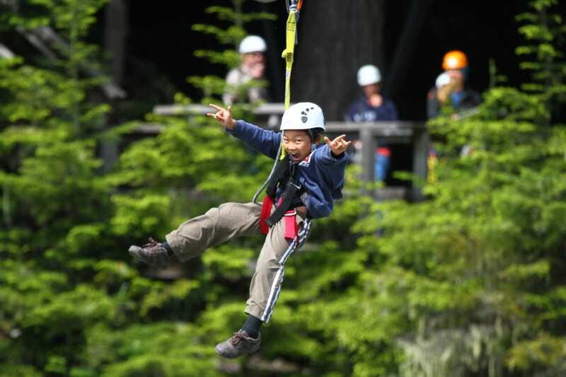 Whistler Zipline Experience: Ziptrek Bear Tour - Walking on Suspension Bridges and Meeting Big Doug