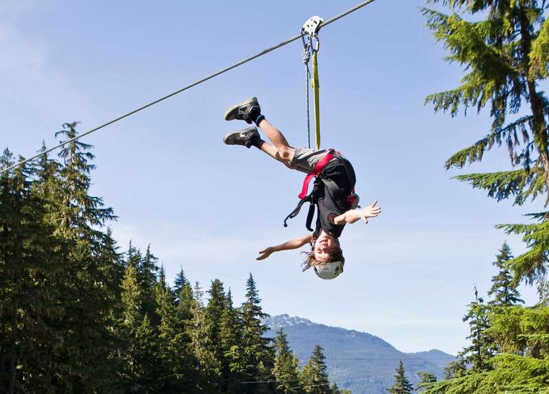 Whistler Zipline Experience: Ziptrek Bear Tour - Discovering Local Ecology and Community