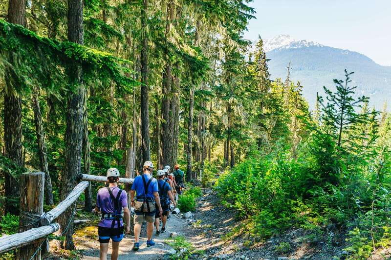 Whistler: Ziplining Experience - Key Points